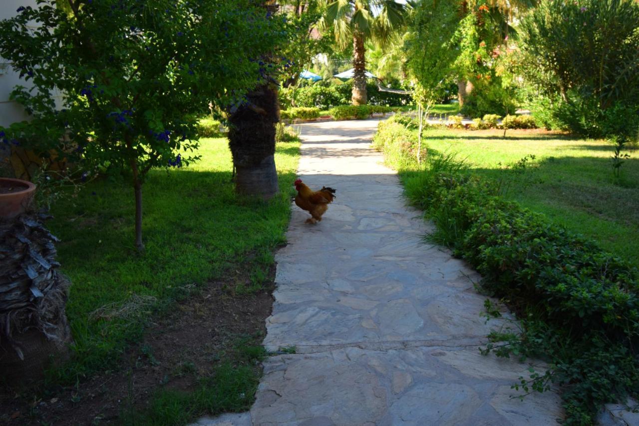 Adrasan Beach Club Hotel Antalya Exterior photo